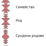 Kanatitsa simvoli 01